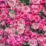 WhatsApp Image 2025-11-27 at 2.00