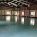 WhatsApp Image 2026-03-05 at 11.13