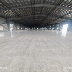 WhatsApp Image 2026-03-05 at 12.11