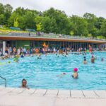 WhatsApp Image 2026-03-12 at 10.55